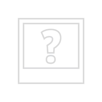 19 inch Sanding Disk